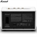 Loa Marshall Action II 5